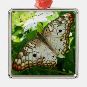 Adorno Metálico Mariposa en Fotografía de Naturaleza Tropical de J