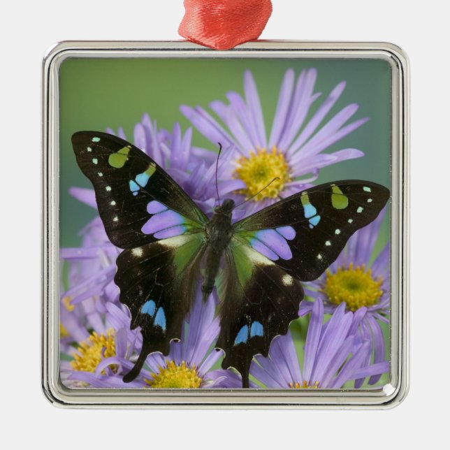 Adorno Metálico Mariposa en morado (Frente)