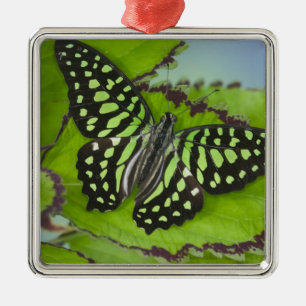 Adorno Metálico Mariposa en Verde