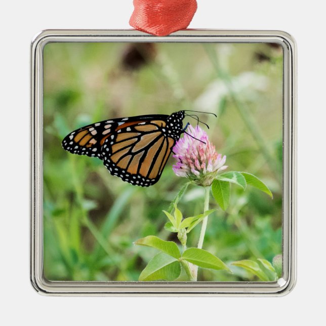 Adorno Metálico Mariposa monarca (Frente)