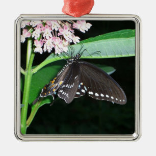 Adorno Metálico Mariposa Nocturna Cola de Golondrina Negra en Shen