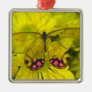Adorno Metálico Mariposa sobre amarillo