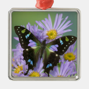 Adorno Metálico Mariposa sobre púrpura
