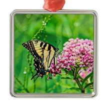 Mariposa Swallowtail del Tigre del Este