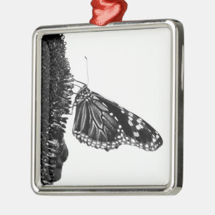 Adorno Metálico mariposa tímida blacq