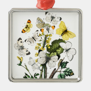 Adorno Metálico Mariposas europeas antiguas