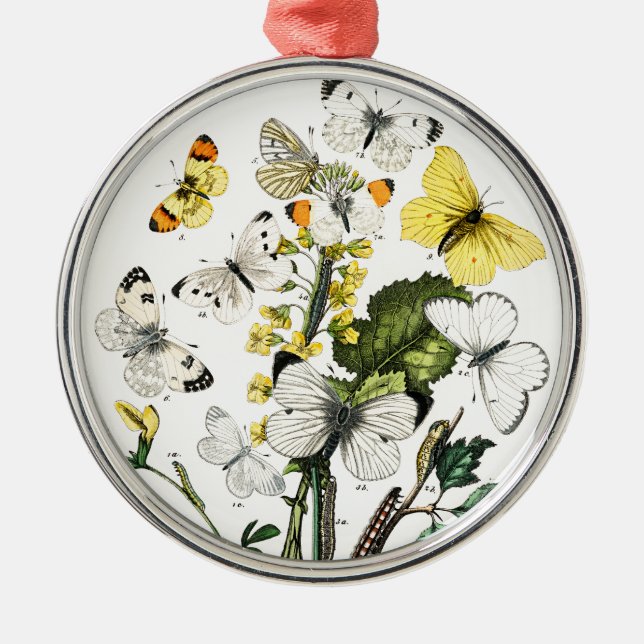 Adorno Metálico Mariposas europeas antiguas (Frente)