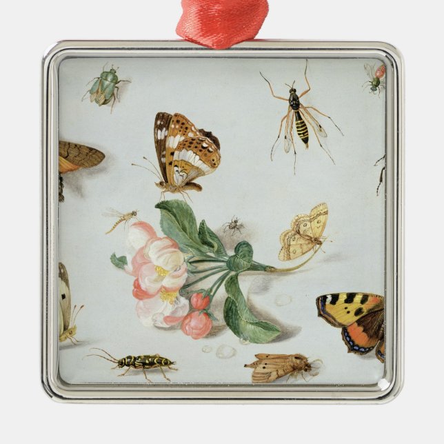 Adorno Metálico Mariposas, polillas y otros insectos (Frente)