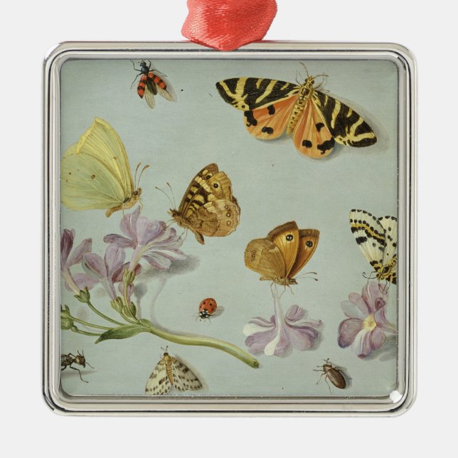 Adorno Metálico Mariposas, polillas y otros insectos (Frente)