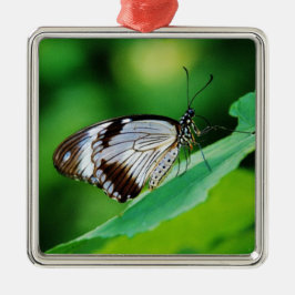 Adorno Metálico Marrón oscuro y mariposa gris