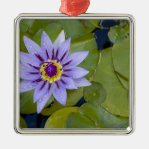 Adorno Metálico Martinica, Antillas Francesas, Indias Occidentales