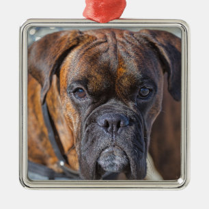 Adorno Metálico Más cerca de un perro con broche