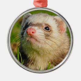 Adorno Metálico Mascota Ferret