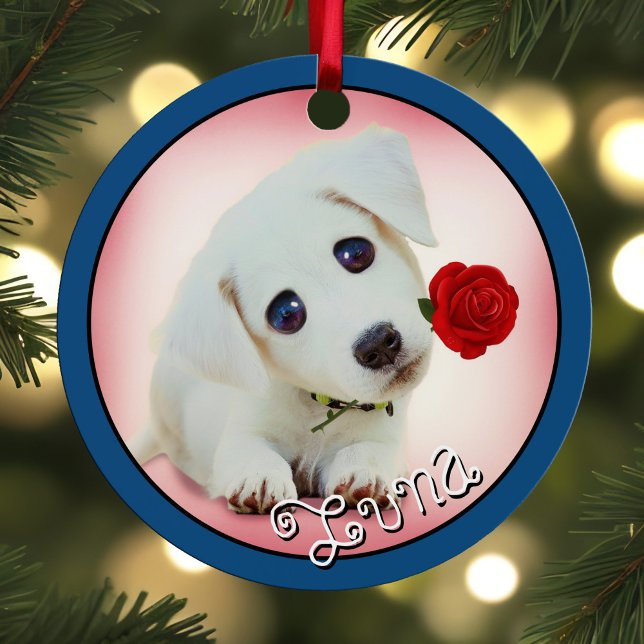 Adorno Metálico Mascota Keepsake 2 Fotos y nombres Pájaro gato de  (Pet keepsake Christmas ornament  with 2 Photos & Names, Holiday Dog Cat or Bird Metal Blue Border)