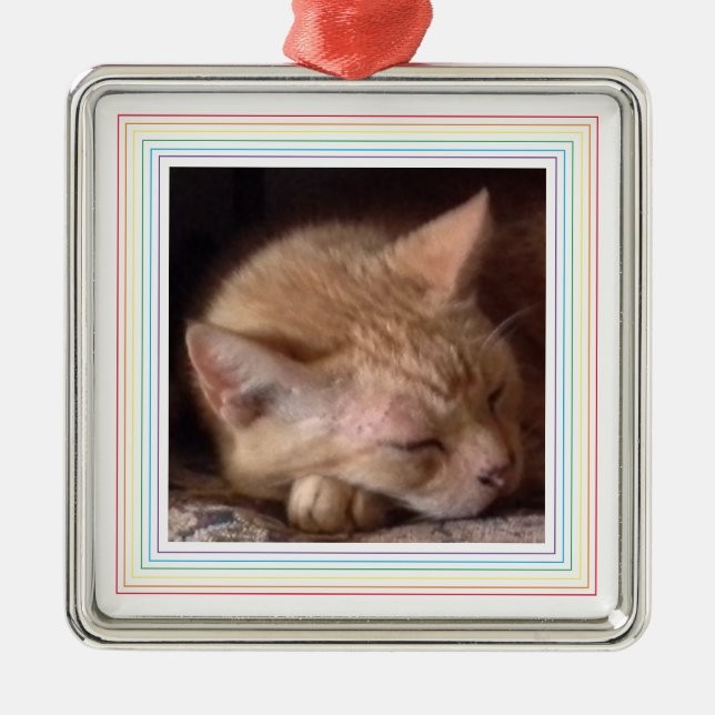 Adorno Metálico MASCOTA LOVE Premium Square Ornamet / Rainbow (Frente)