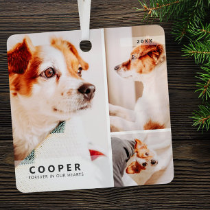 Adorno Metálico Mascota Memorial Collage de fotos Geométrico Simpl