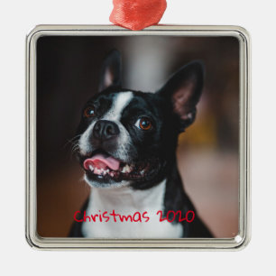 Adorno Metálico Mascota Perro Familiar de Fiesta Personalizable