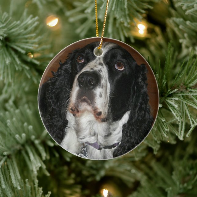 Adorno Metálico Mascota personalizada en español Springer inglesa (Árbol)
