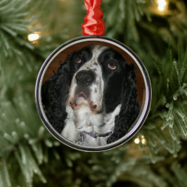 Adorno Metálico Mascota personalizada en español Springer inglesa