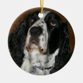 Adorno Metálico Mascota personalizada en español Springer inglesa
