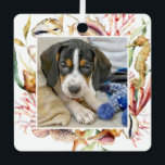 Adorno Metálico Mascota personalizado Navidades de Photo Beach<br><div class="desc">Crea un adorable adorno de vacaciones de keepsake para tu mascota con este adorno de playa. La foto cuadrada de tu mascota está enmarcada con conchas marinas,  un caballito de mar y plantas marinas. La parte posterior del ornamento tiene una plantilla de texto para personalizar con el texto deseado.</div>