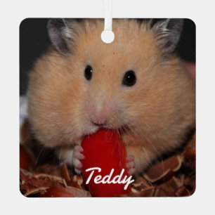 Adorno Metálico Mascota sirio Hamster - Hamster Estándar - Crema