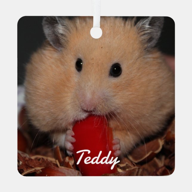 Adorno Metálico Mascota sirio Hamster - Hamster Estándar - Crema (Reverso )