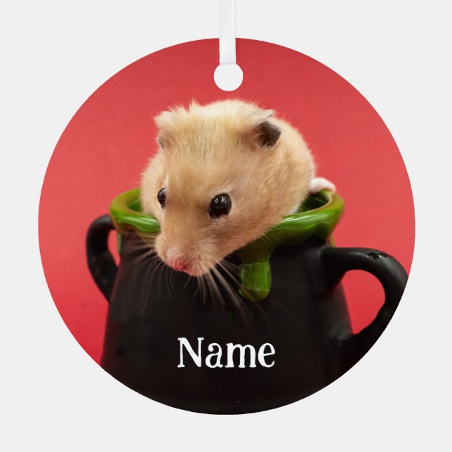 Adorno Metálico Mascota sirio Hamster - Hamster estándar - Oso de  (Reverso )