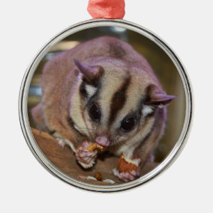 Adorno Metálico Mascota Sugar Glider