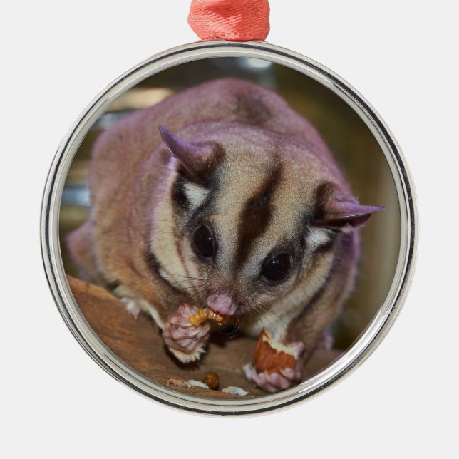 Adorno Metálico Mascota Sugar Glider (Frente)