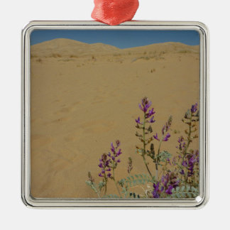 Adorno Metálico Mato de Índigo de Mojave y Dunas de Kelso