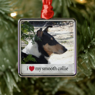 Adorno Metálico Me encantan mis Navidades Smooth Collie Photo