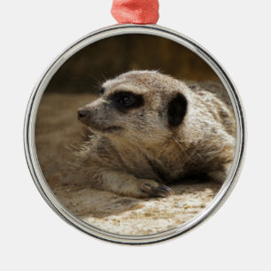 Adorno Metálico Meerkat