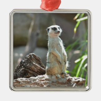 Adorno Metálico Meerkat