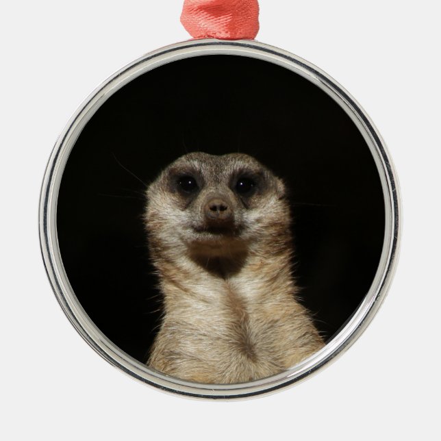 Adorno Metálico Meerkat20151010 (Frente)
