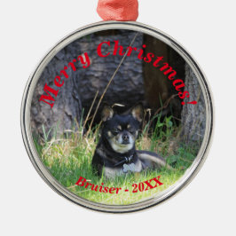 Adorno Metálico Mejor Amigo Mascota para siempre Keepsake Gift