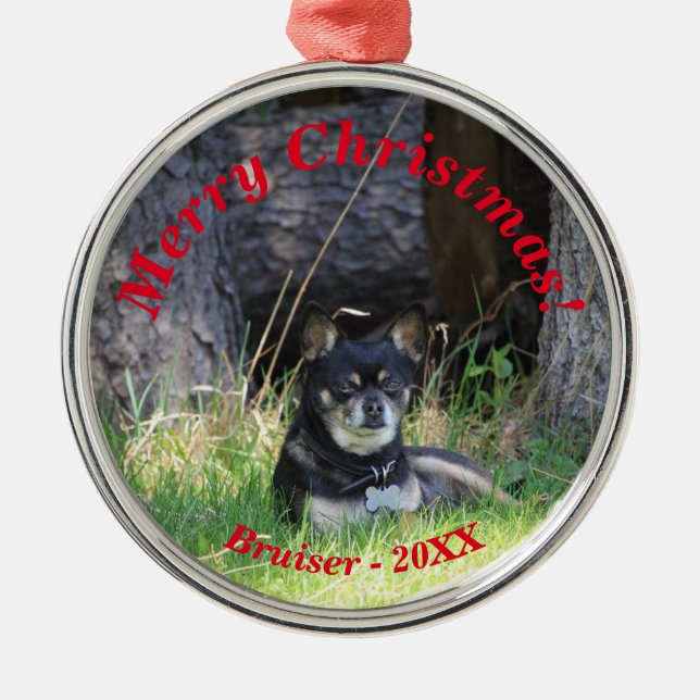 Adorno Metálico Mejor Amigo Mascota para siempre Keepsake Gift (Frente)