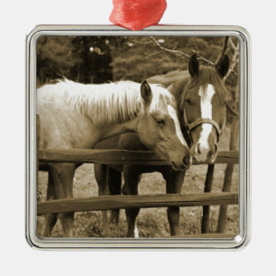 Adorno Metálico Mejores amigos