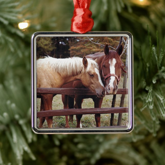 Adorno Metálico Mejores amigos (Árbol)