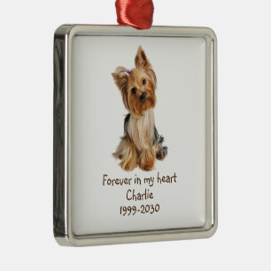 Adorno Metálico Memorial de fotos personalizado Keepsake Mascota p