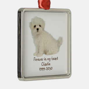 Adorno Metálico Memorial fotográfico personalizado Keepsake Mascot