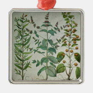 Adorno Metálico Menta: Crispa del Mentha