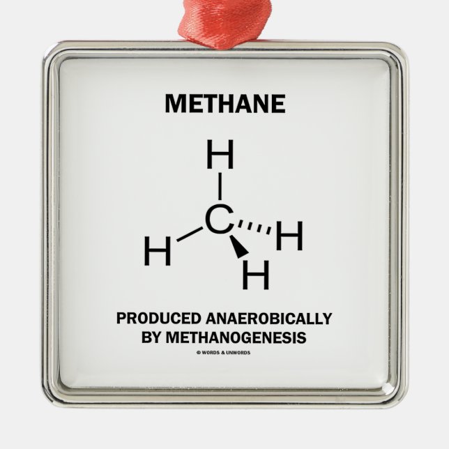 Adorno Metálico Metano producido anaerobio por Methanogenesis (Frente)