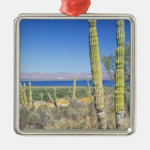 Adorno Metálico México, Baja California Sur, Mulege, Bahía