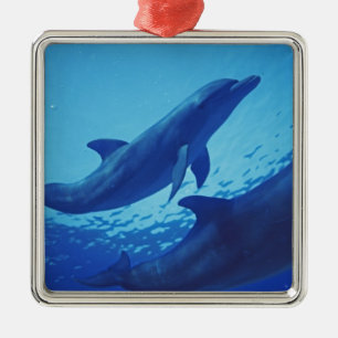 Adorno Metálico México, Cozumel. Delfín mular, Tursiops