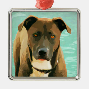 Adorno Metálico Mezcla Pitador Labrabull de Pitbull del