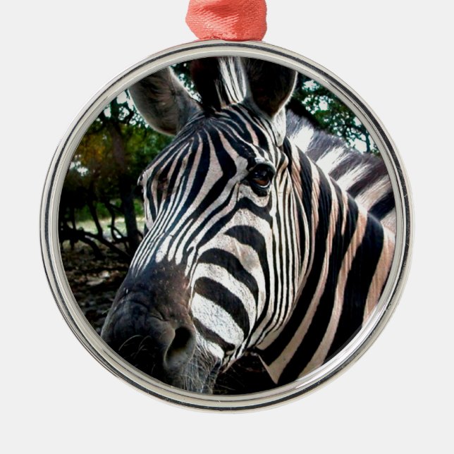 Adorno Metálico Mi amigo strippy (Frente)