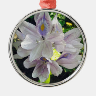 Adorno Metálico Mi pequeña planta de huerto acuático