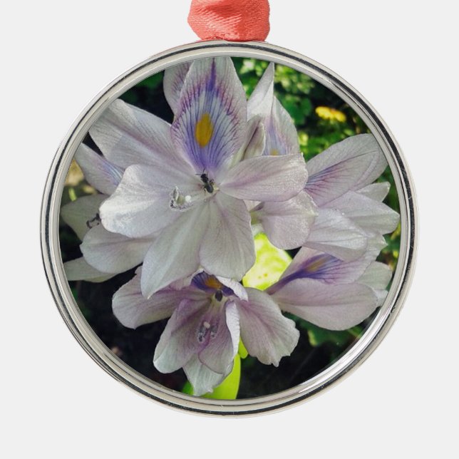 Adorno Metálico Mi pequeña planta de huerto acuático (Frente)