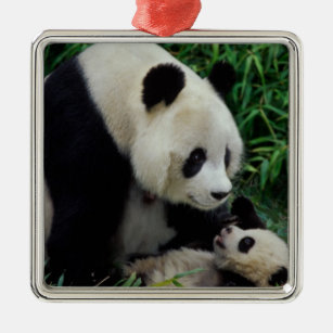 Adorno Metálico Mime a la panda y al bebé en el arbusto de bambú,